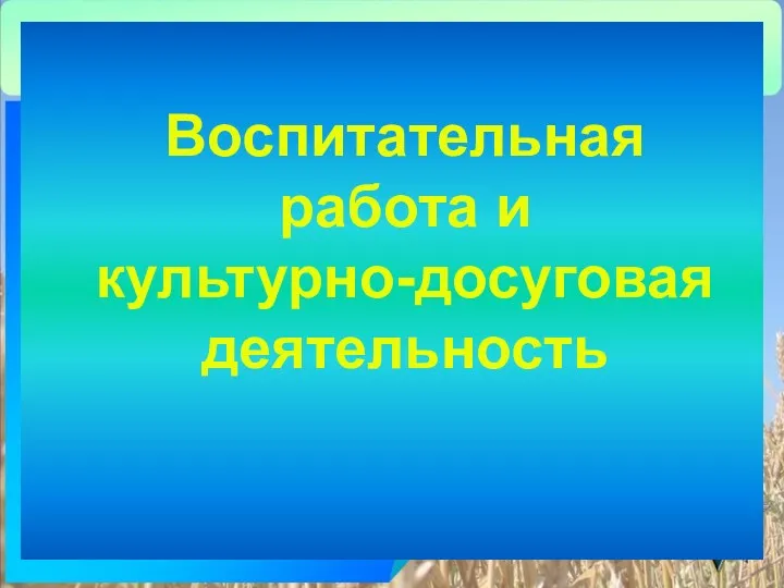 Воспитательная работа и культурно-досуговая деятельность