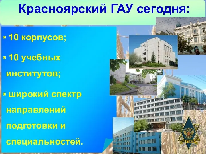 Красноярский ГАУ сегодня: 10 корпусов; 10 учебных институтов; широкий спектр направлений подготовки и специальностей.