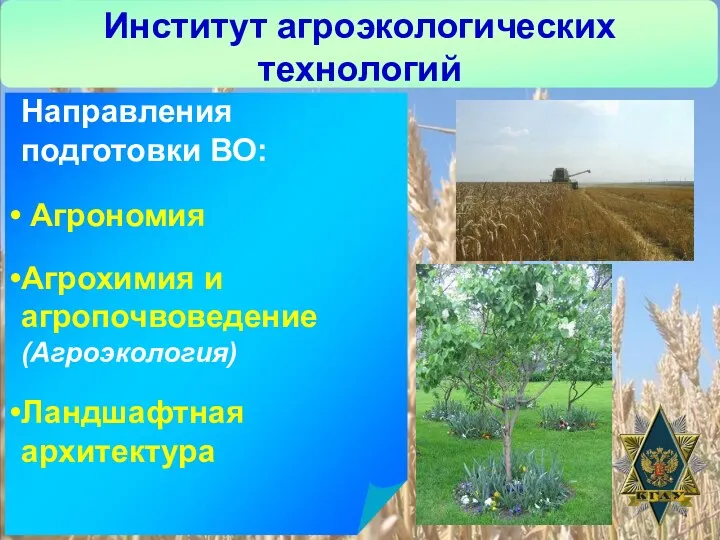 Институт агроэкологических технологий Направления подготовки ВО: Агрономия Агрохимия и агропочвоведение (Агроэкология) Ландшафтная архитектура