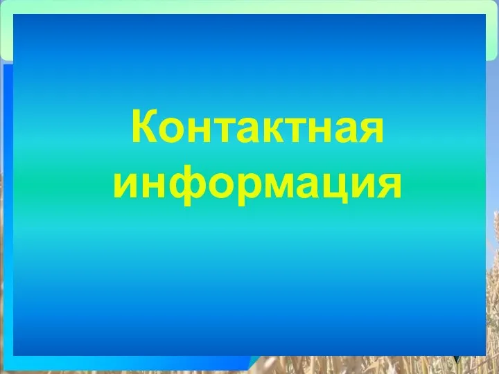 Контактная информация