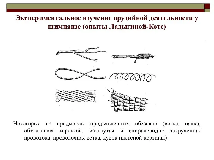 Экспериментальное изучение орудийной деятельности у шимпанзе (опыты Ладыгиной-Котс) Некоторые из