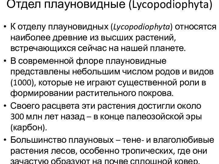 Отдел плауновидные (Lycopodiophyta) К отделу плауновидных (Lycopodiophyta) относятся наиболее древние