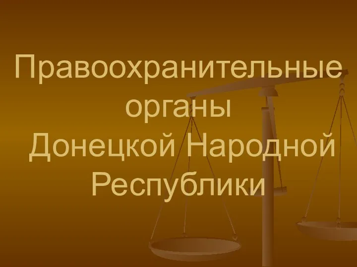 Правоохранительные органы Донецкой Народной Республики