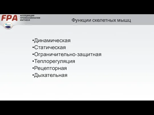 Функции скелетных мышц Динамическая Статическая Ограничительно-защитная Теплорегуляция Рецепторная Дыхательная