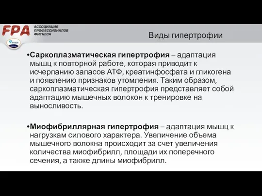 Виды гипертрофии Саркоплазматическая гипертрофия – адаптация мышц к повторной работе,