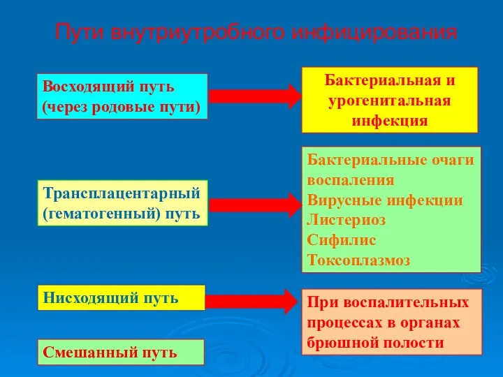 Пути внутриутробного инфицирования Восходящий путь (через родовые пути) Бактериальная и