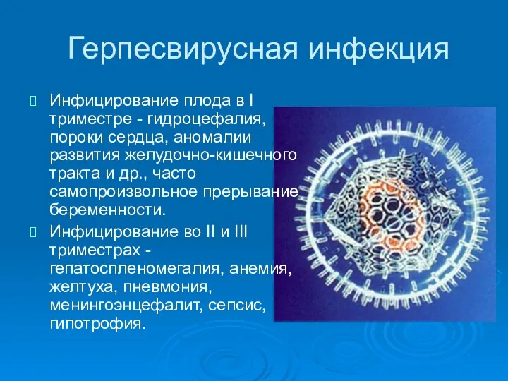 Герпесвирусная инфекция Инфицирование плода в I триместре - гидроцефалия, пороки