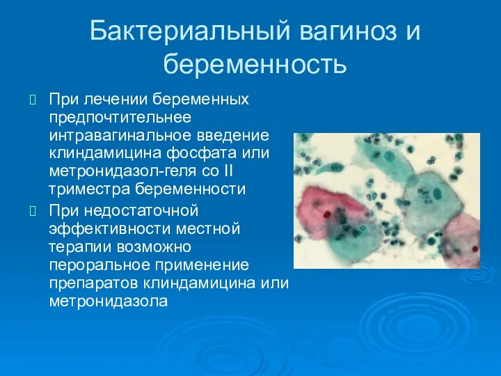 Бактериальный вагиноз и беременность При лечении беременных предпочтительнее интравагинальное введение