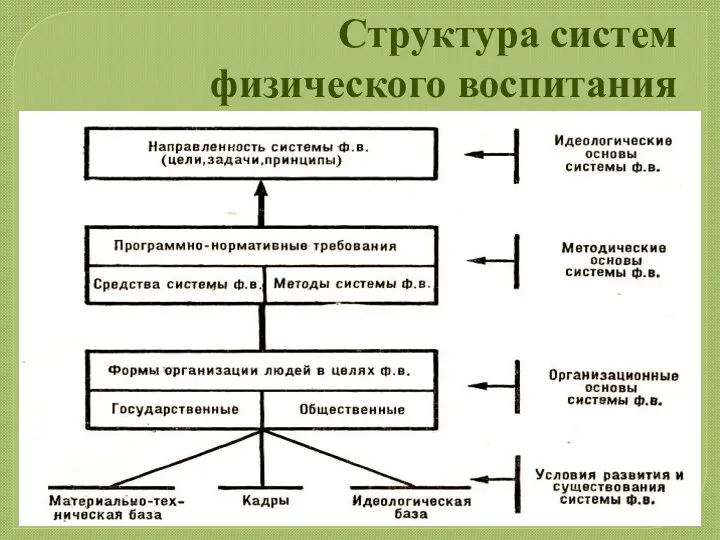 Структура систем физического воспитания