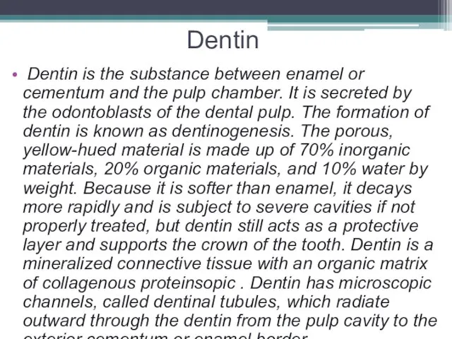 Dentin Dentin is the substance between enamel or cementum and