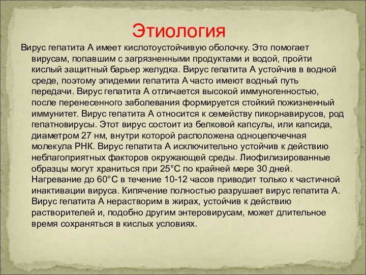 Вирус гепатита А имеет кислотоустойчивую оболочку. Это помогает вирусам, попавшим