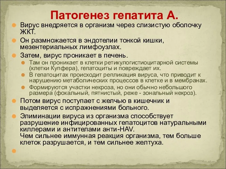 Патогенез гепатита А. Вирус внедряется в организм через слизистую оболочку