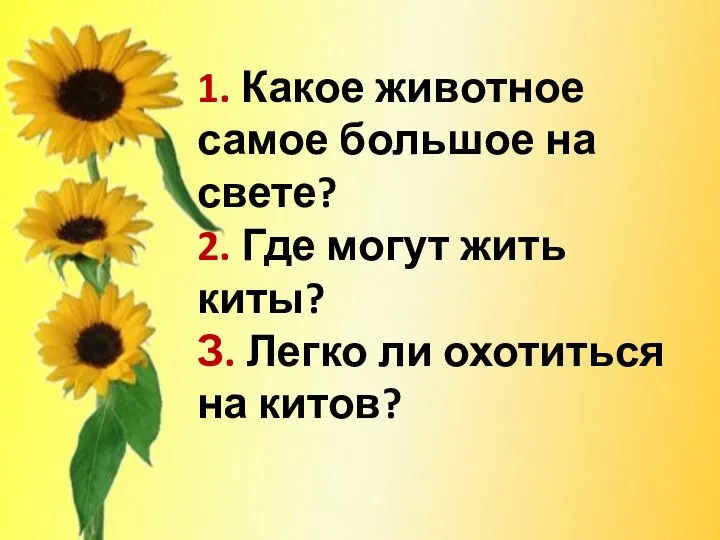 1. Какое животное самое большое на свете? 2. Где могут жить киты? З.