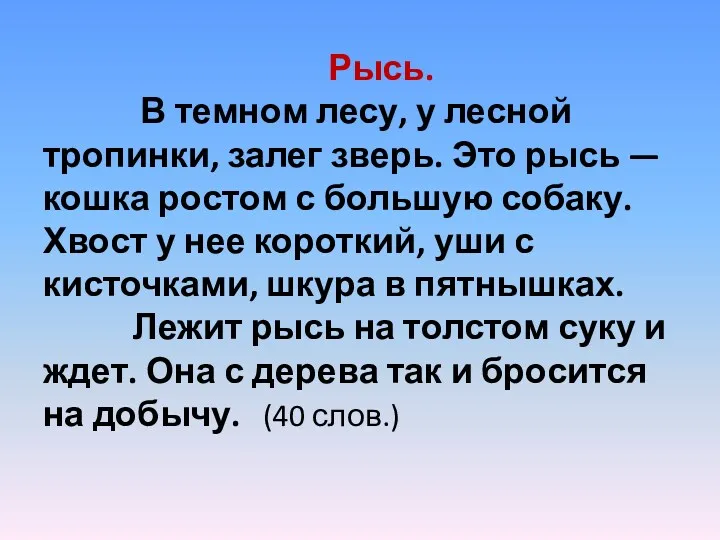 Рысь. В темном лесу, у лесной тропинки, залег зверь. Это рысь — кошка