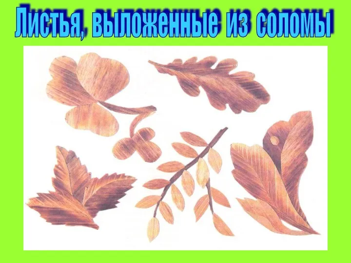 Листья, выложенные из соломы
