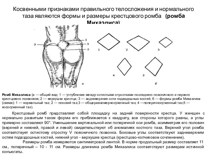 Косвенными признаками правильного телосложения и нормального таза являются формы и