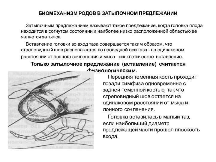 БИОМЕХАНИЗМ РОДОВ В ЗАТЫЛОЧНОМ ПРЕДЛЕЖАНИИ Затылочным предлежанием называют такое предлежание,