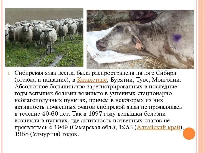 Сибирская язва всегда была распространена на юге Сибири (отсюда и название), в Казахстане,