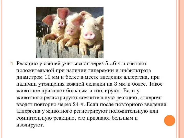 Реакцию у свиней учитывают через 5...6 ч и считают положительной при наличии гиперемии