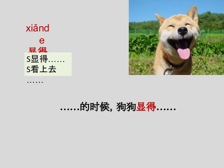 xiǎnde 显得 ……的时候，狗狗显得…… S显得…… S看上去……