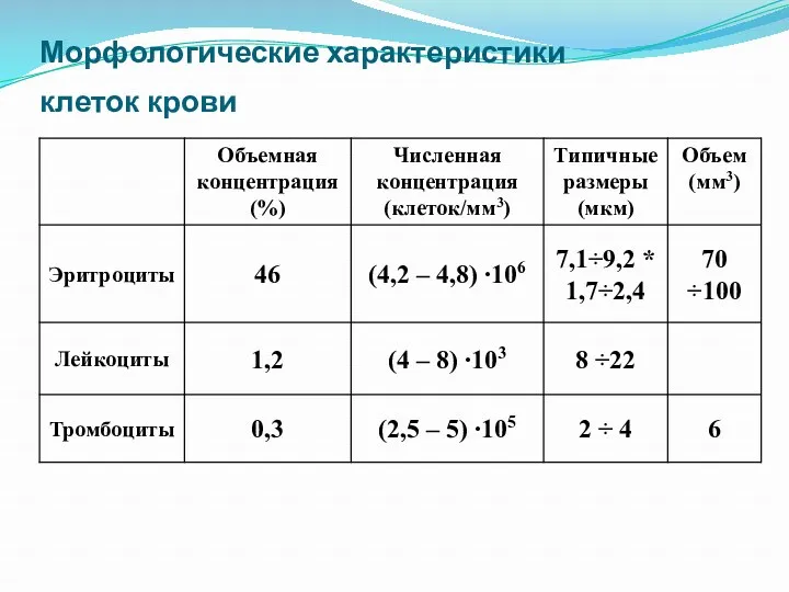 Морфологические характеристики клеток крови