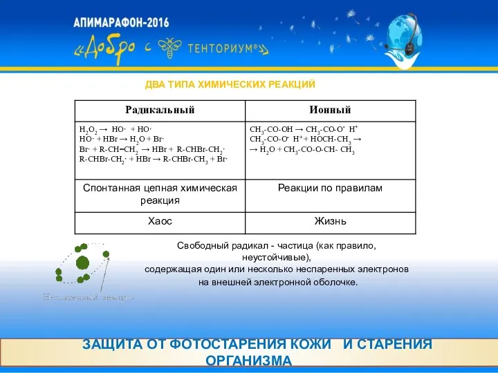 ЗАЩИТА ОТ ФОТОСТАРЕНИЯ КОЖИ И СТАРЕНИЯ ОРГАНИЗМА ДВА ТИПА ХИМИЧЕСКИХ РЕАКЦИЙ Свободный радикал