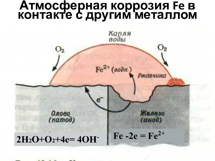 Атмосферная коррозия Fe в контакте с другим металлом 2H2O+O2+4e= 4OH- Fe -2e = Fe2+