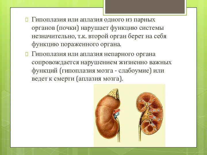 Гипоплазия или аплазия одного из парных органов (почки) нарушает функцию