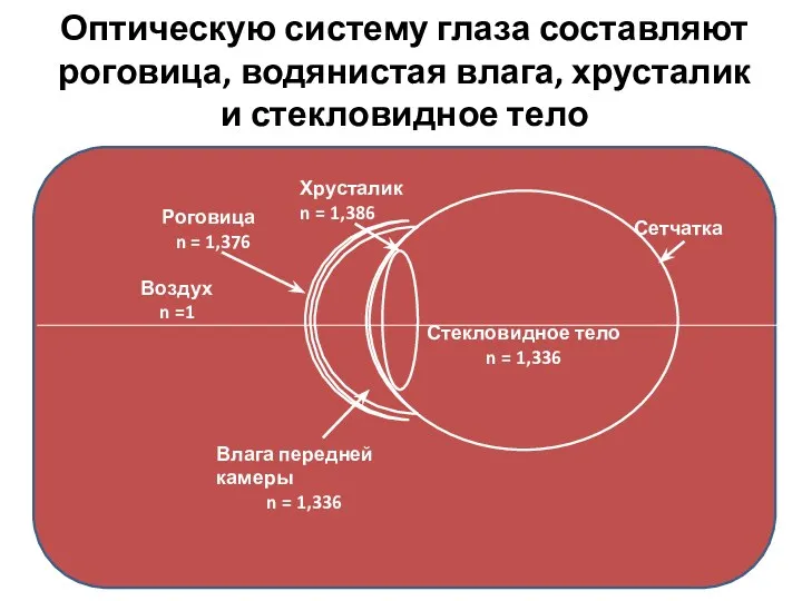 Стекловидное тело n = 1,336 Сетчатка Хрусталик n = 1,386