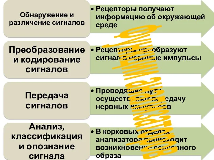 Функции анализаторов