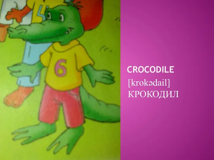 CROCODILE [krokәdail] КРОКОДИЛ