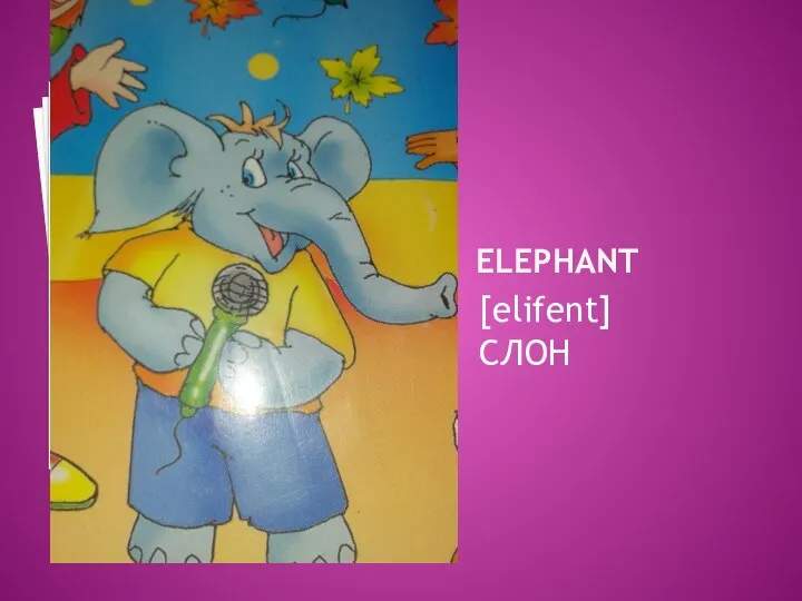 ELEPHANT [elifent] СЛОН