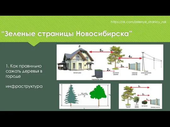 “Зеленые страницы Новосибирска” https://vk.com/zelenye_stranicy_nsk 1. Как правильно сажать деревья в городе инфраструктура