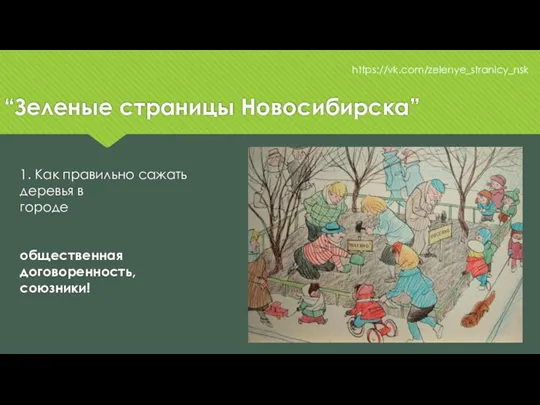 “Зеленые страницы Новосибирска” https://vk.com/zelenye_stranicy_nsk 1. Как правильно сажать деревья в городе общественная договоренность, союзники!