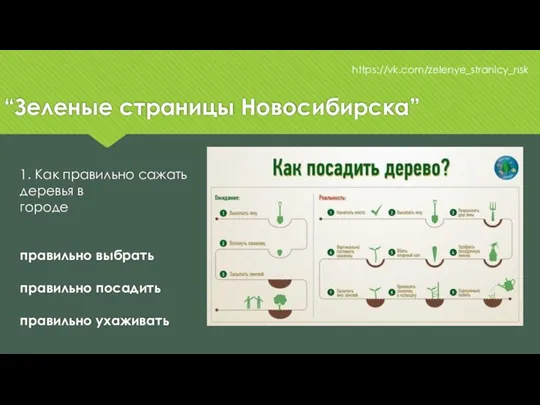 “Зеленые страницы Новосибирска” https://vk.com/zelenye_stranicy_nsk 1. Как правильно сажать деревья в
