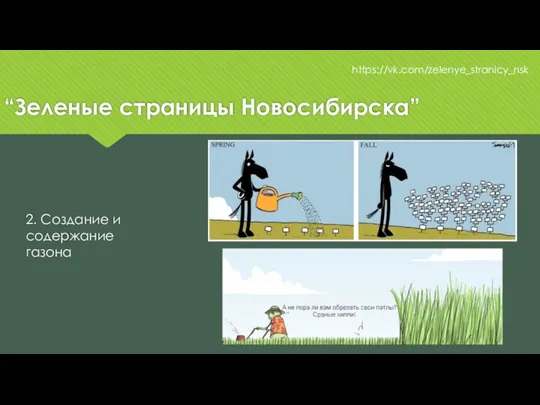 “Зеленые страницы Новосибирска” https://vk.com/zelenye_stranicy_nsk 2. Создание и содержание газона