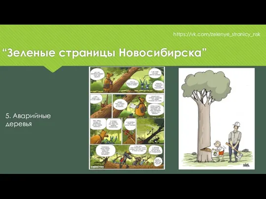 “Зеленые страницы Новосибирска” https://vk.com/zelenye_stranicy_nsk 5. Аварийные деревья