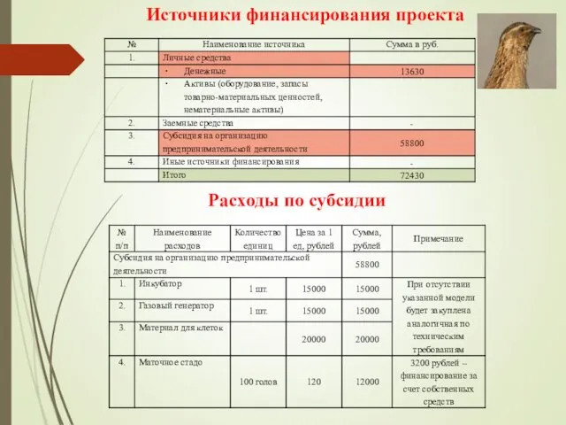 Источники финансирования проекта Расходы по субсидии