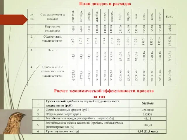 Расчет экономической эффективности проекта за год План доходов и расходов