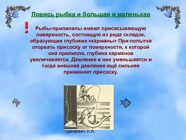 Гриневич Л.А. Ловись рыбка и большая и маленькая Рыбы-прилипалы имеют