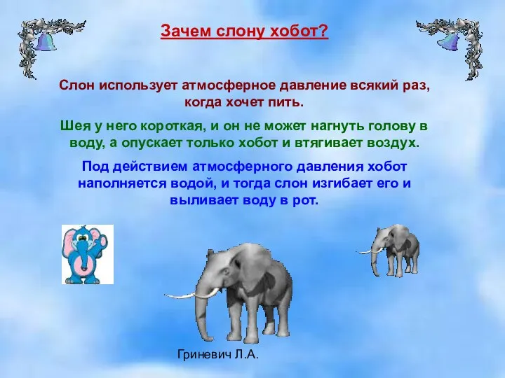 Гриневич Л.А. Зачем слону хобот? Слон использует атмосферное давление всякий