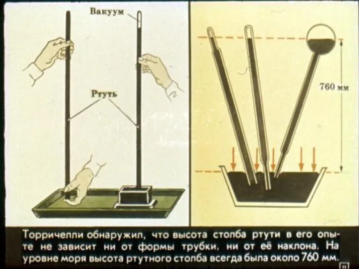 Гриневич Л.А.