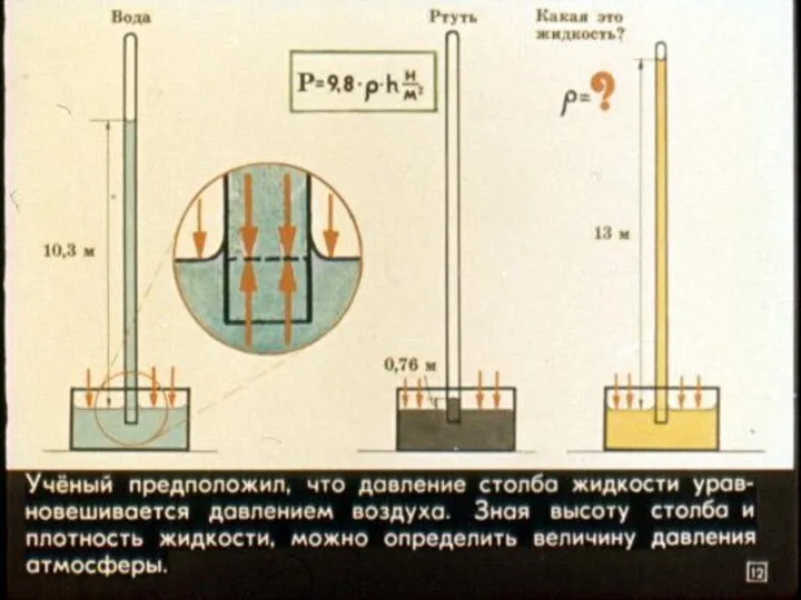 Гриневич Л.А.