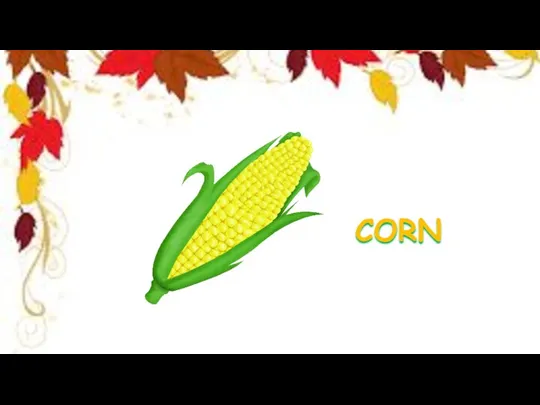 CORN