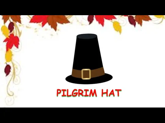 PILGRIM HAT