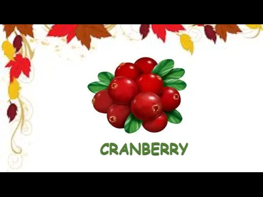 CRANBERRY