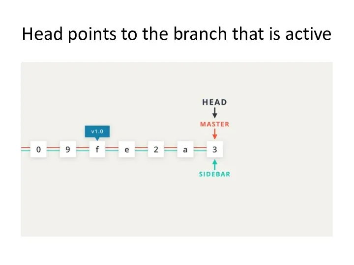 Head points to the branch that is active