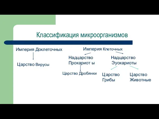 Классификация микроорганизмов Империя Доклеточных Империя Клеточных Царство Вирусы Надцарство Надцарство