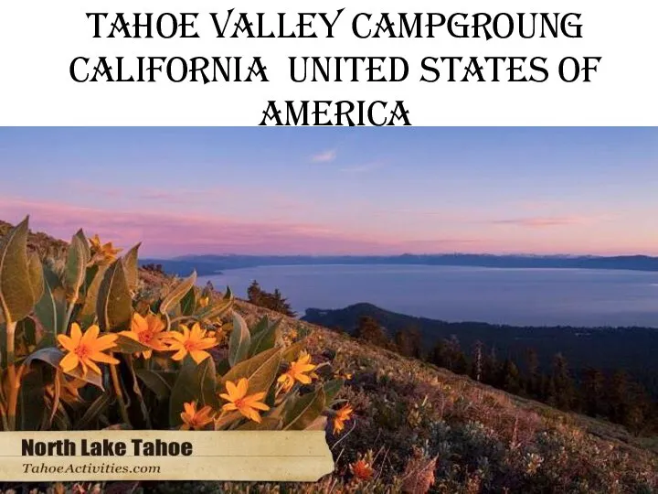 Tahoe valley campgroung california united states of america