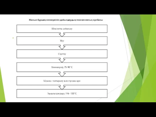 Жасыл бұршақ консервісін дайындаудың технолгиялық сұлбасы